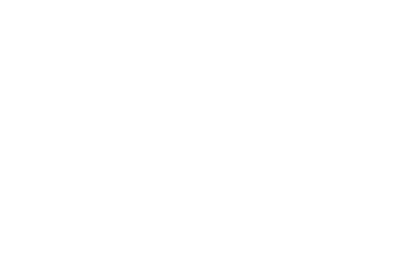 logo blanc